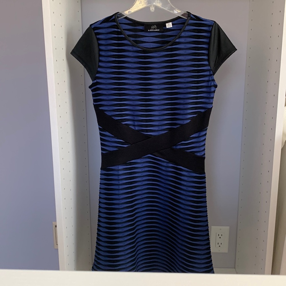 Petite Fit and Flare Cap Sleeve Dress